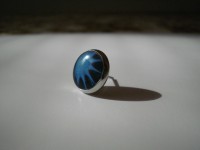 /album/fotogaleria/nausky11-jpg/